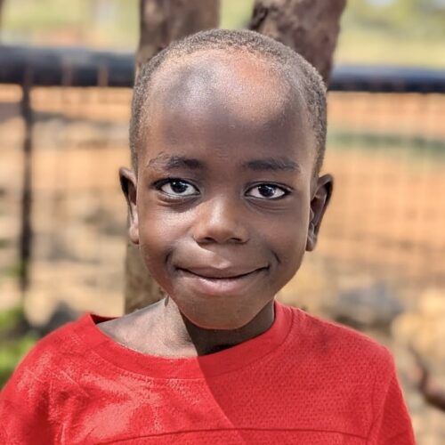 Logiel Marko (Sponsored)